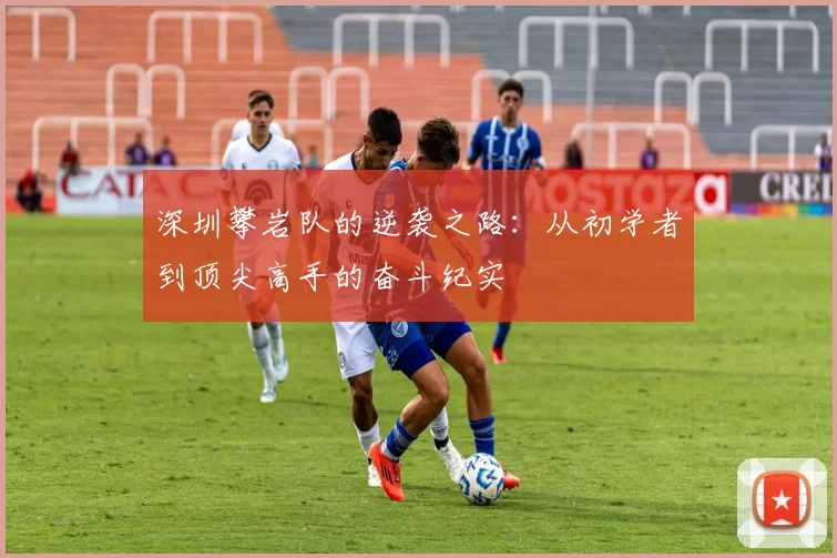 深圳攀岩队的逆袭之路：从初学者到顶尖高手的奋斗纪实