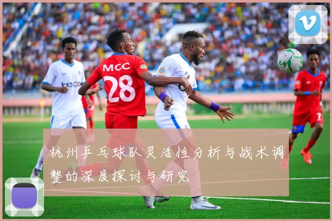 杭州乒乓球队灵活性分析与战术调整的深度探讨与研究