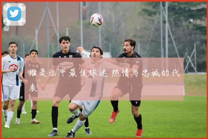 谁是法甲最佳球迷 热情与忠诚的代表