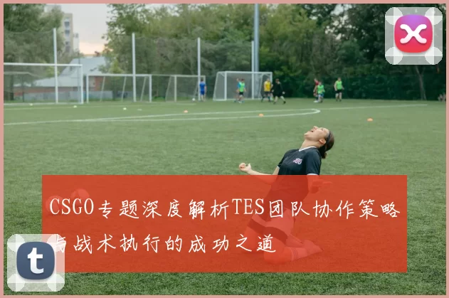 CSGO专题深度解析TES团队协作策略与战术执行的成功之道