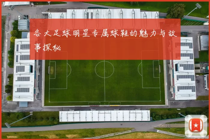 各大足球明星专属球鞋的魅力与故事探秘