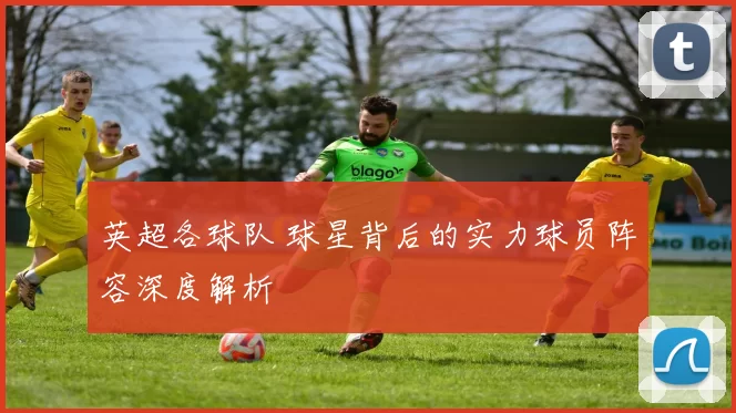 英超各球队 球星背后的实力球员阵容深度解析