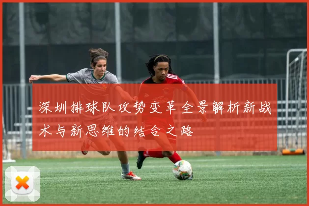 深圳排球队攻势变革全景解析新战术与新思维的结合之路