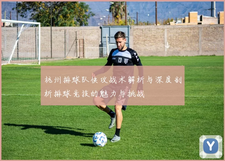杭州排球队快攻战术解析与深度剖析排球竞技的魅力与挑战