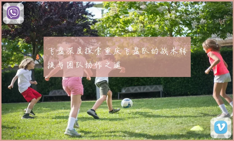 飞盘深度探索重庆飞盘队的战术转换与团队协作之道