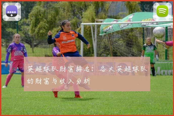 英超球队财富排名：各大英超球队的财富与收入分析