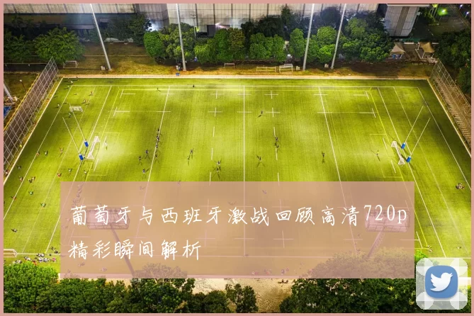 葡萄牙与西班牙激战回顾高清720p精彩瞬间解析