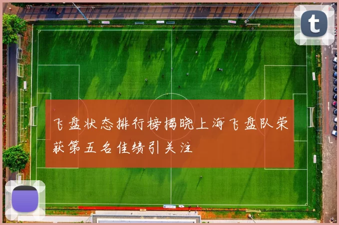 飞盘状态排行榜揭晓上海飞盘队荣获第五名佳绩引关注