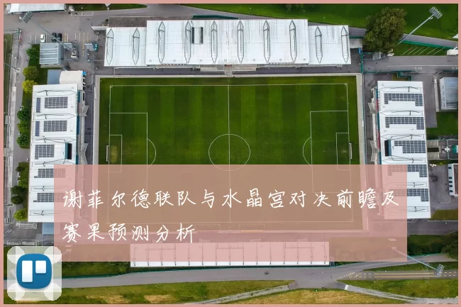 谢菲尔德联队与水晶宫对决前瞻及赛果预测分析