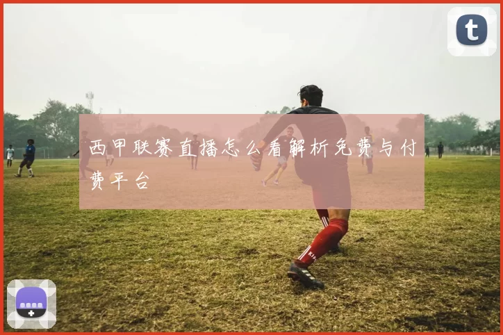 西甲联赛直播怎么看解析免费与付费平台