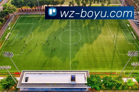 博鱼体育发展历程